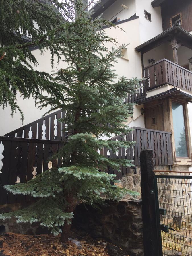 Chalet Adosado Zona Med/Baja シエラネバダ エクステリア 写真